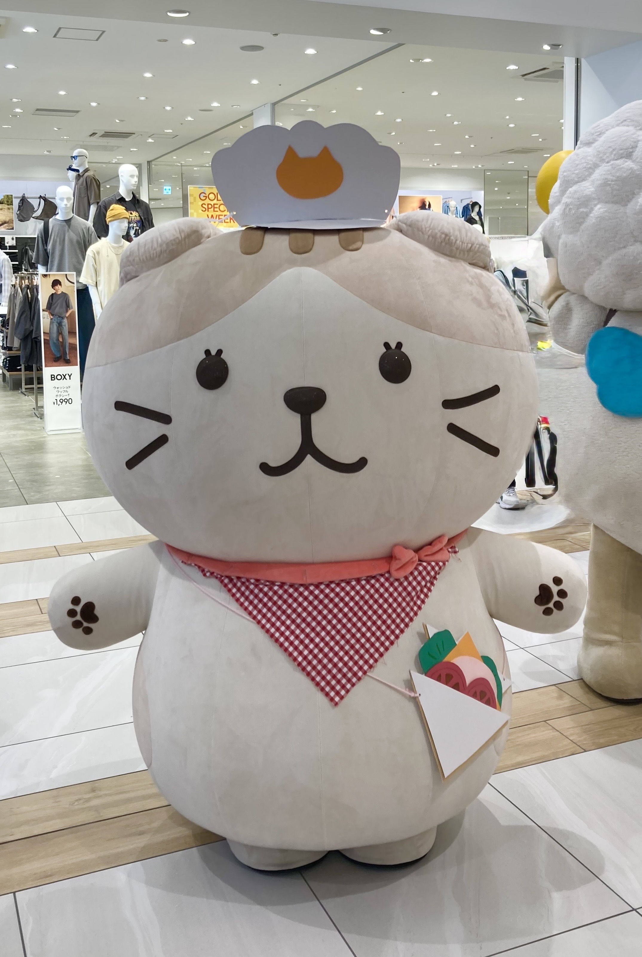 Fuku Fuku Nyanko(ふくふくにゃんこ) (@fukufuku_nyanko) / X Fuku Fuku Nyanko(ふくふくにゃんこ) (@fukufuku_nyanko) / X