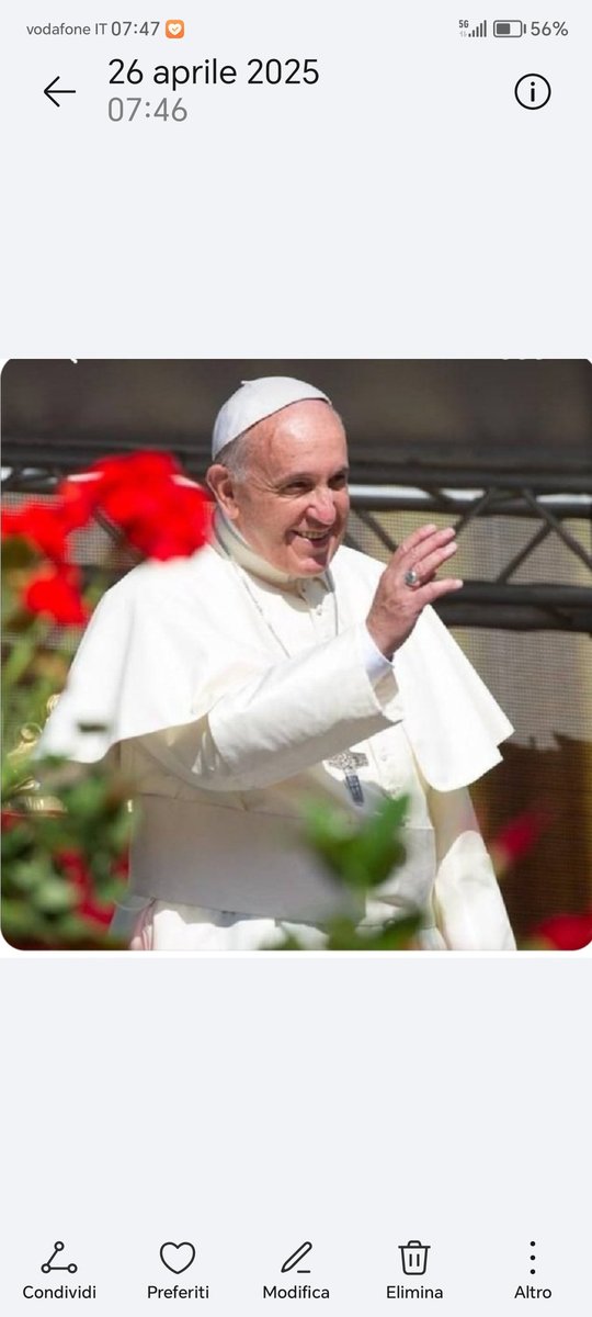 Ti ho voluto subito bene da quel saluto familiare..... fratelli e sorelle buonasera ❤️🙏