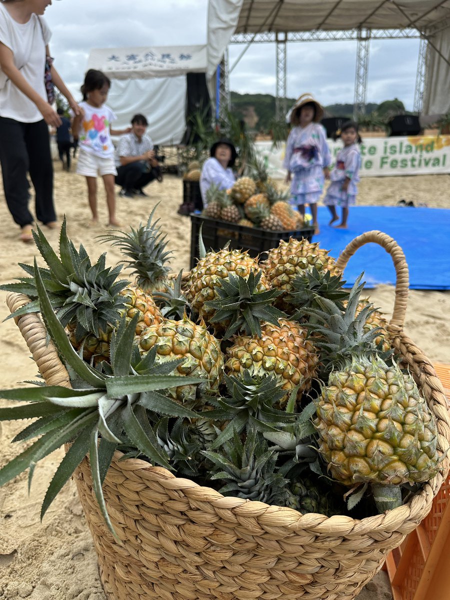 ipororoca's tweet photo. 第1回パイナップルフェスティバルに来てます！ https://t.co/yOIOD4r6gZ
