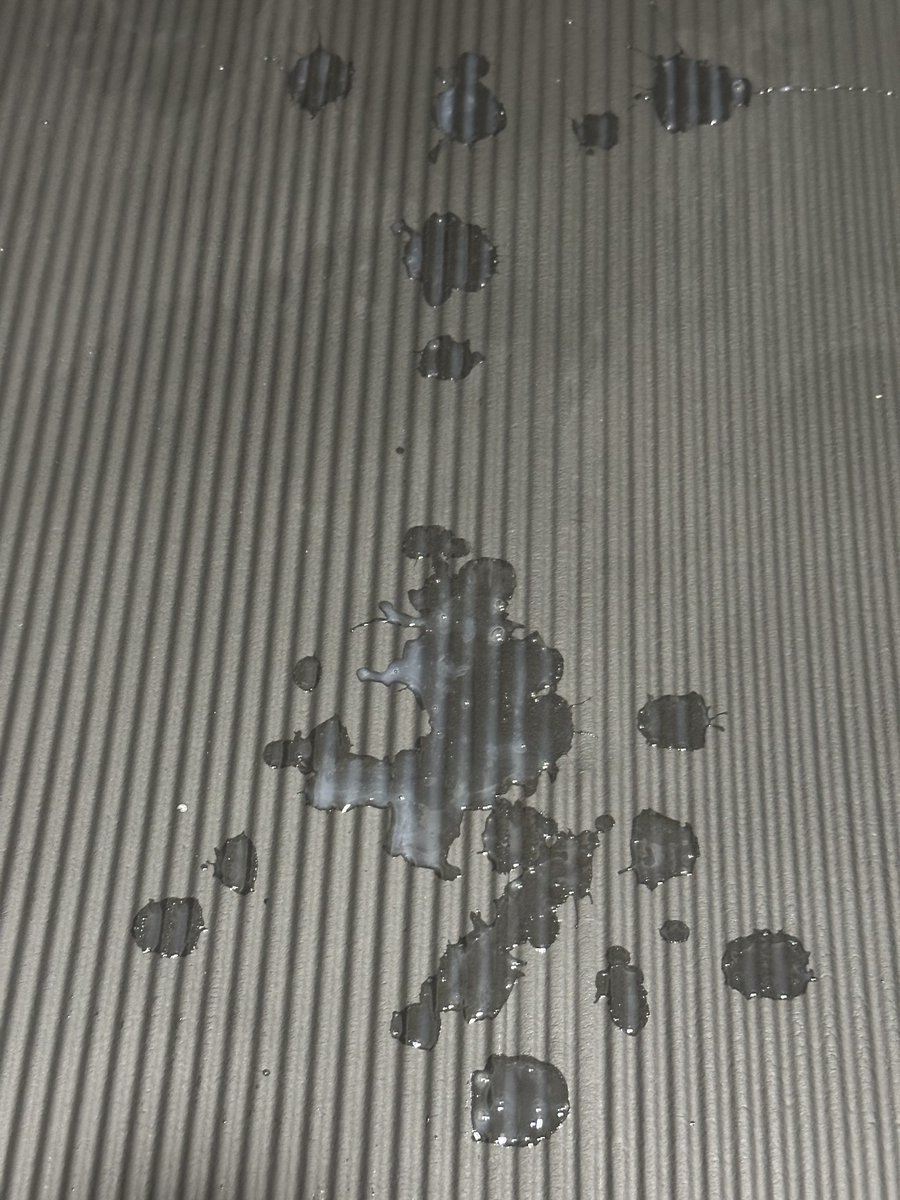 ぶっぱなすのすき