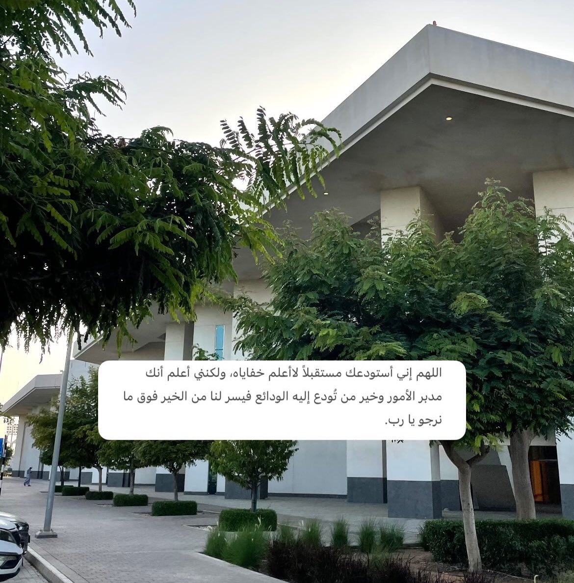 يااااارب امين🤍.