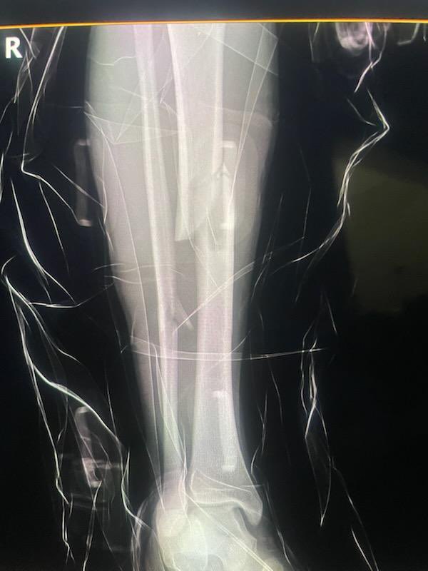 Randy Fulmore III tweet media