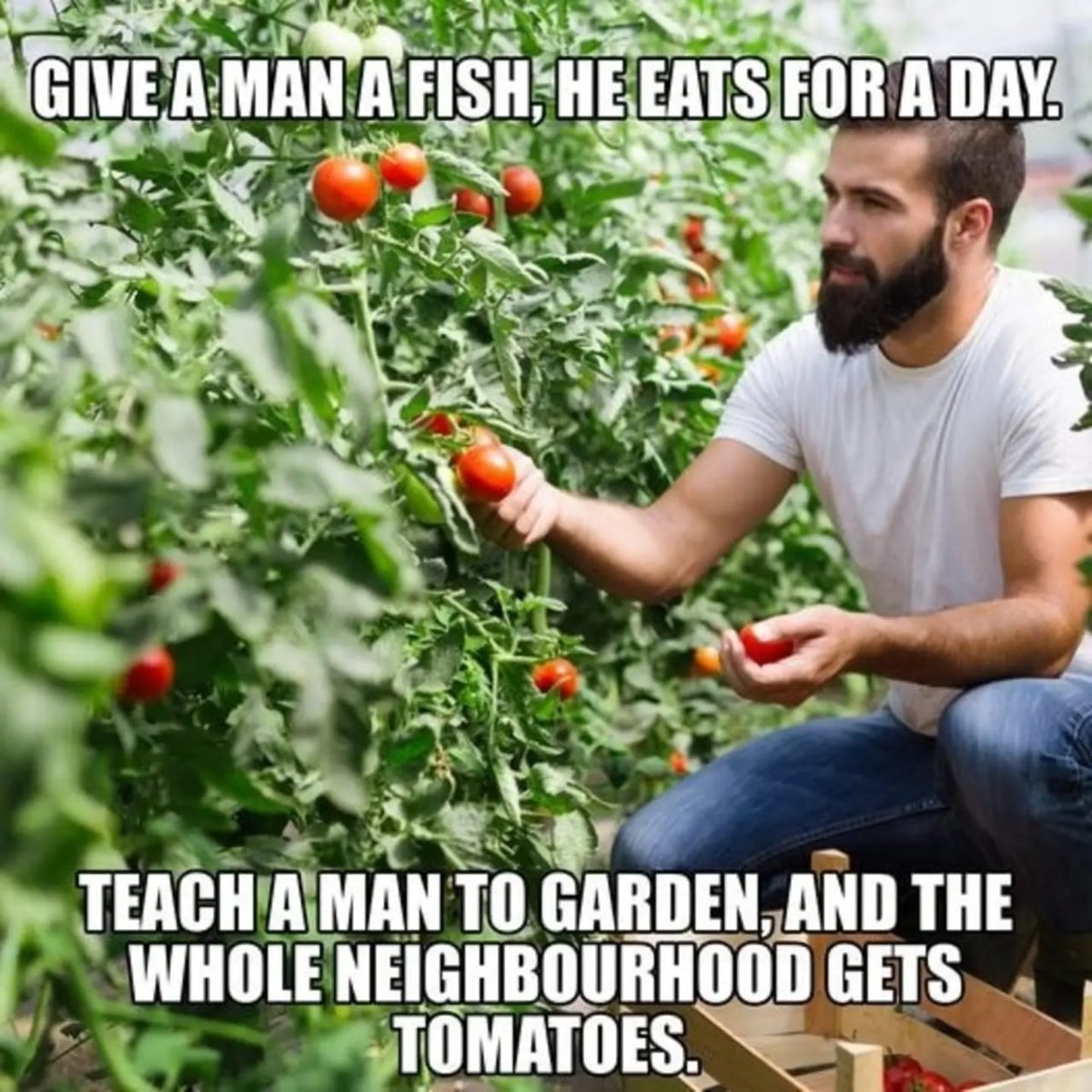 DirtnData tweet media