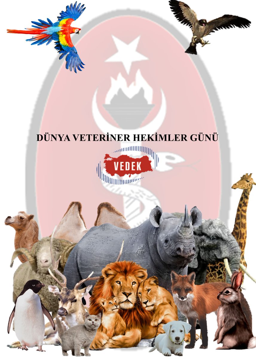 VEDEK9's tweet photo. https://t.co/cLQpONdBMf