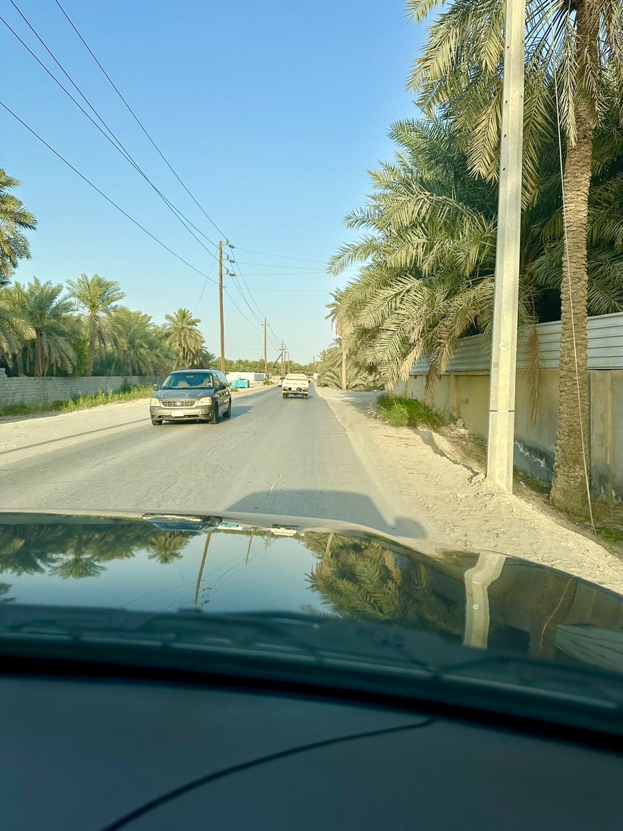 ali96000's tweet photo. الإحساء الجميلة https://t.co/jiVKRXug2p