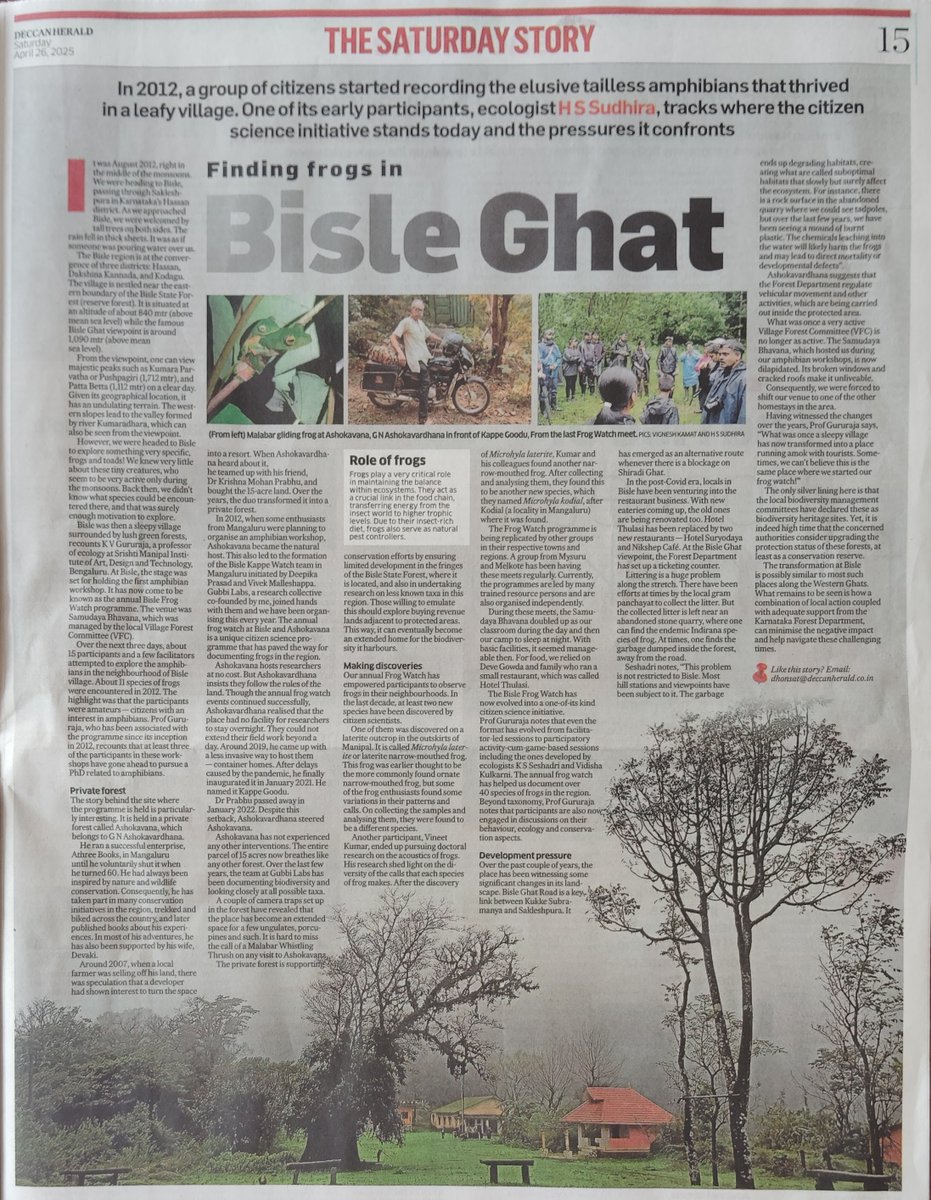 Sudhira's tweet image. On our Bisle Frog Watch and Ashokavana, I write in @DeccanHerald today.
Finding frogs in Karnataka's Bisle Ghat
Read at: deccanherald.com/environment/wi…
@gururajakv @KSSeshadri @vidishakulkarni @vigneshkamathc @badrinathramya @gubbilabs