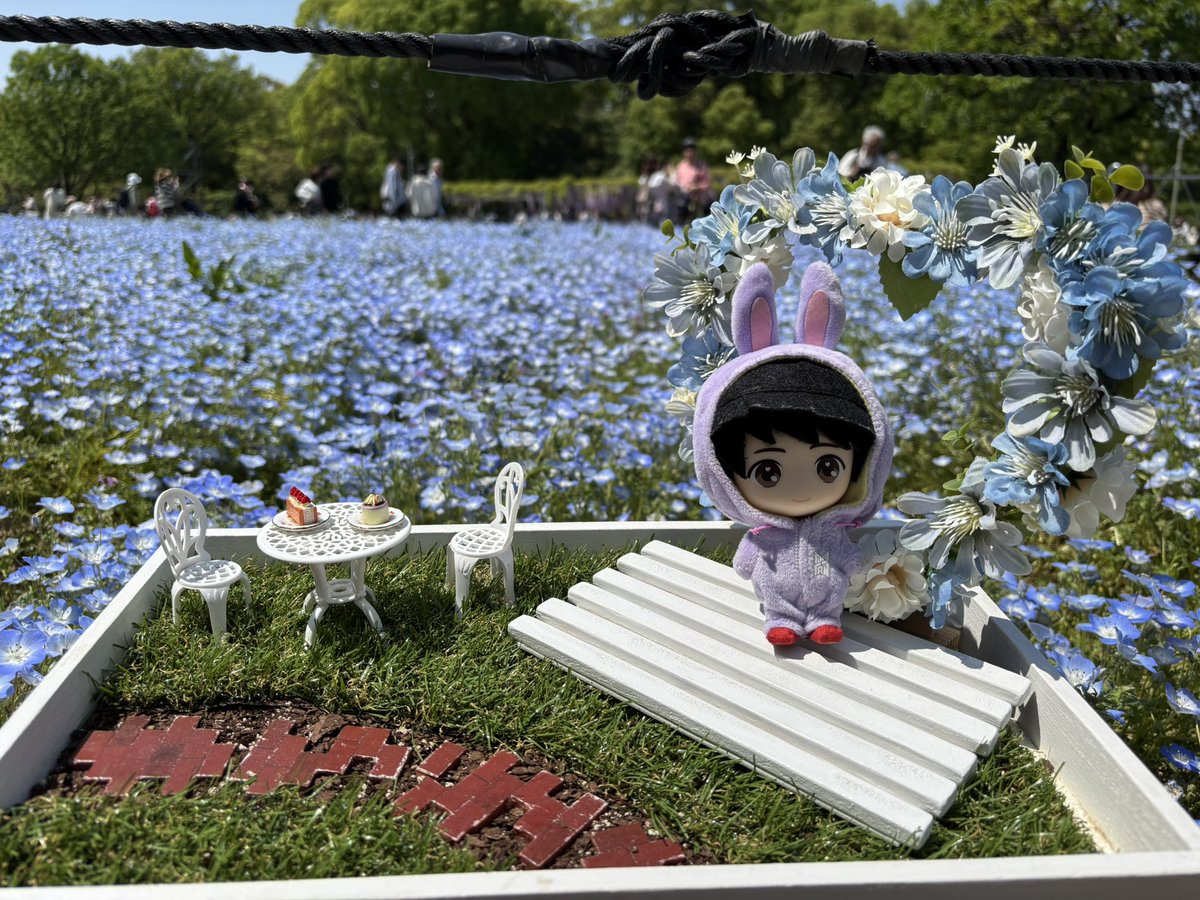 orie0222's tweet photo. 一緒にネモフィラを見に行ってきたよ❀(*´▽`*)❀ https://t.co/CC7JISRAJL