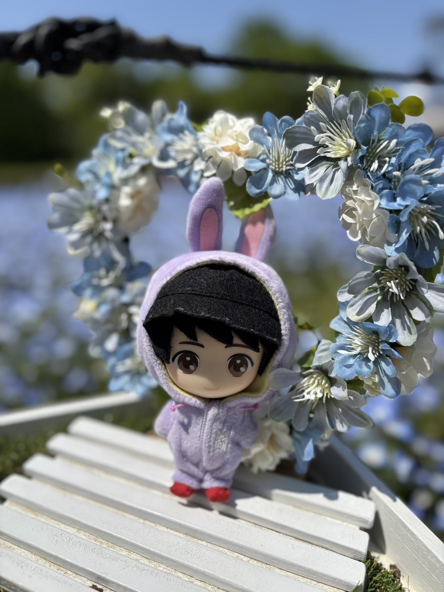 orie0222's tweet photo. 一緒にネモフィラを見に行ってきたよ❀(*´▽`*)❀ https://t.co/CC7JISRAJL