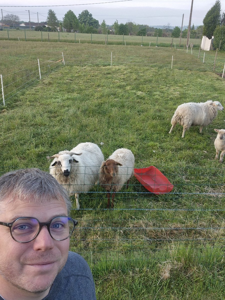 Charles Pillet 🐑 tweet media