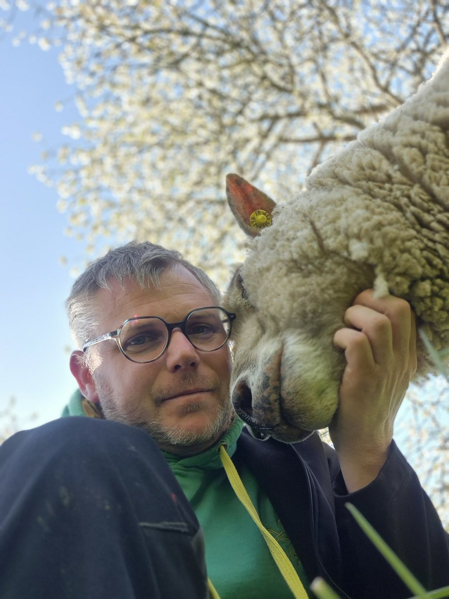 Charles Pillet 🐑 tweet media