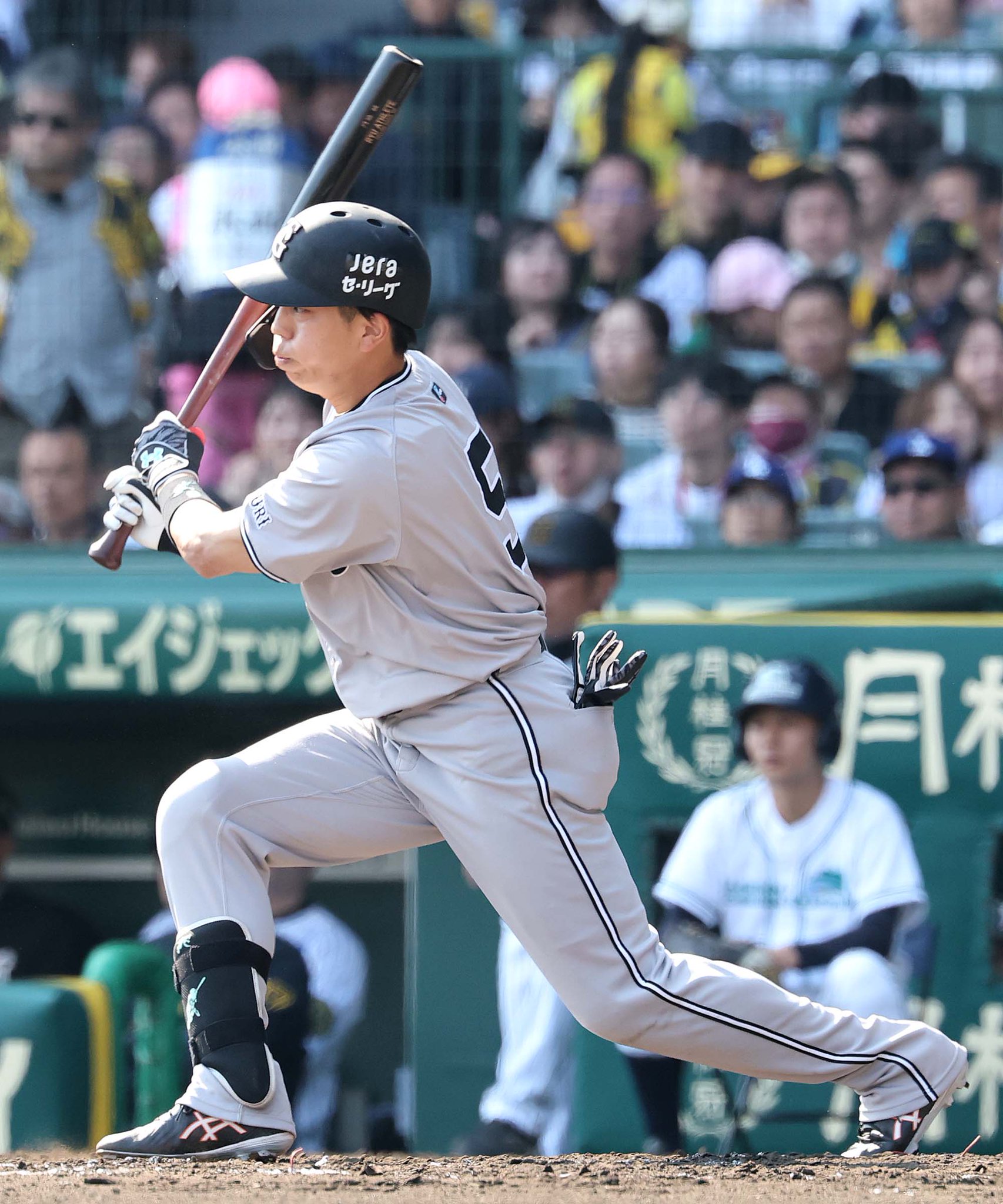 読売巨人軍（ジャイアンツ） on X: 