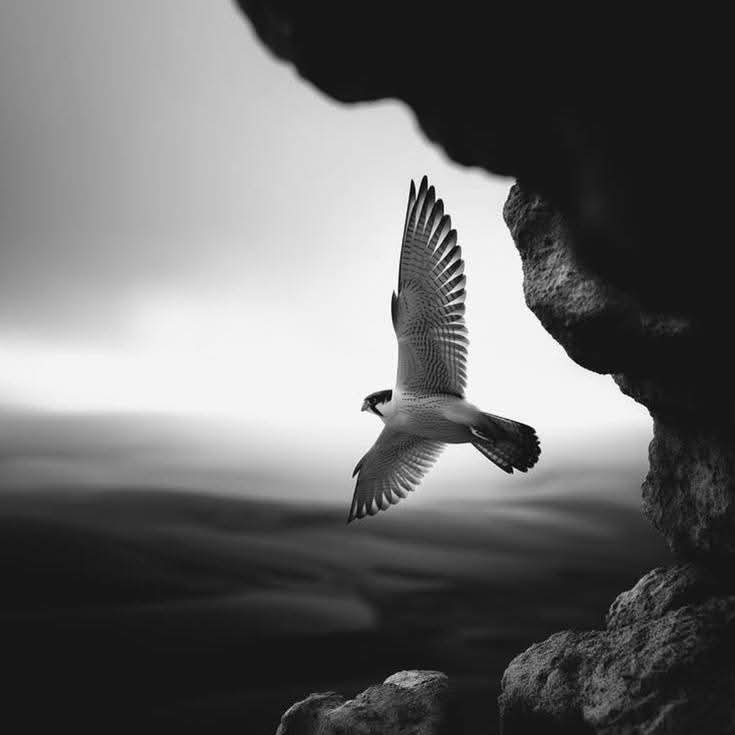 LOADING2S's tweet image. It's time to fly....🫰🏻