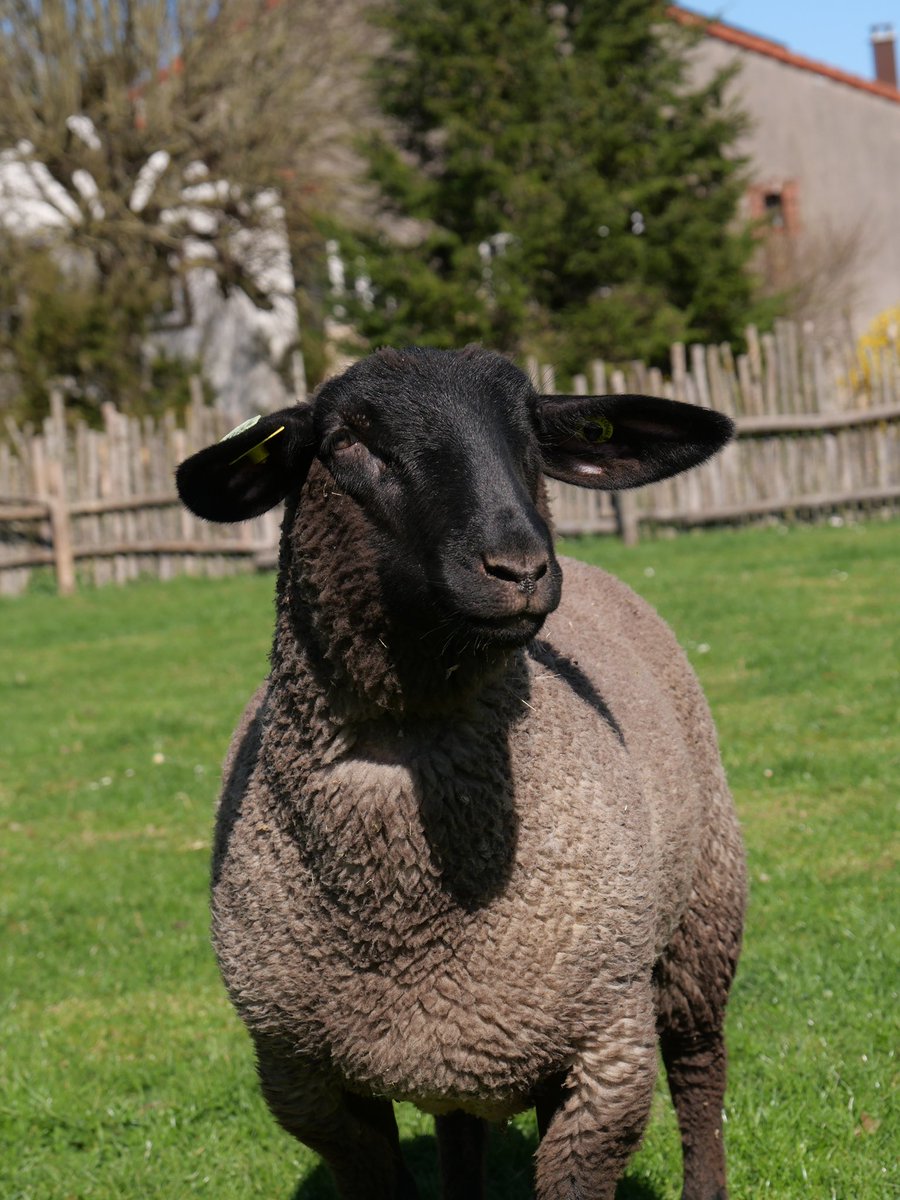 Louise 🌾 tweet media