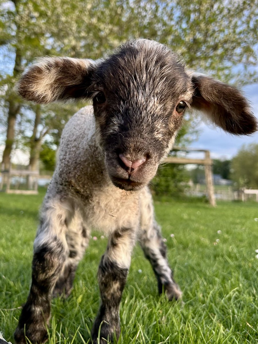 Louise 🌾 tweet media