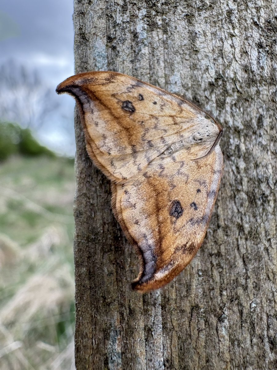 Anthony Robson (no longer in Edinburgh!) tweet media