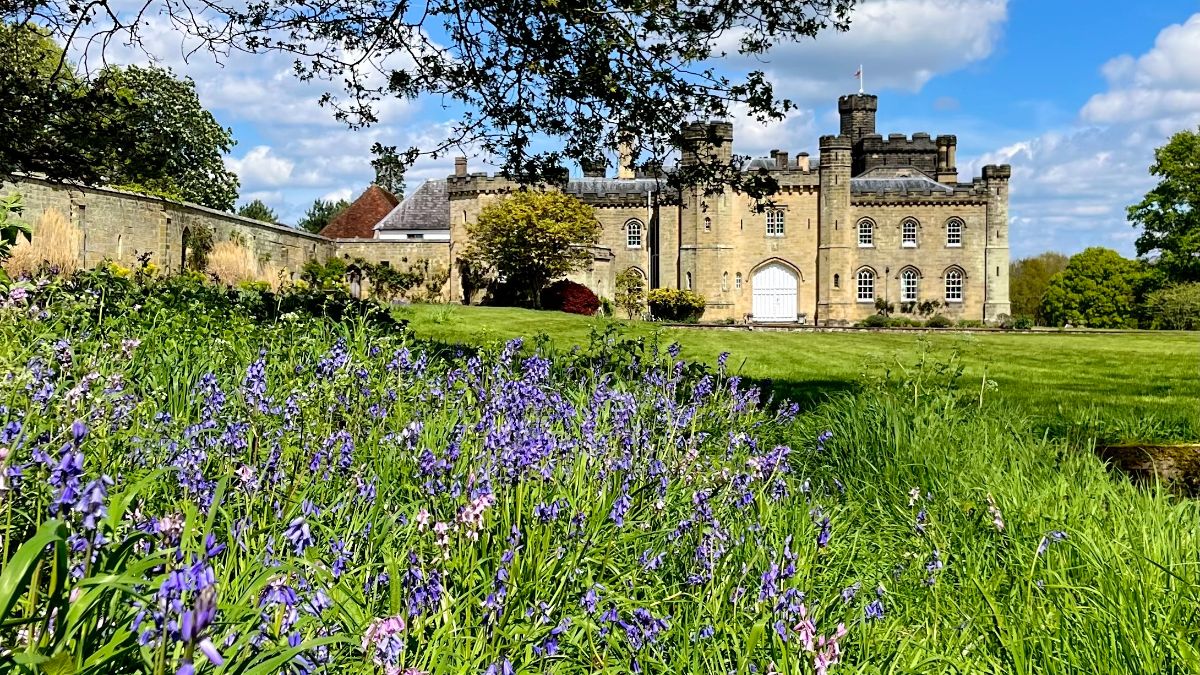 Bank Holidays, Bluebells, Live Music and Half Term Codebreaking Fun! - mailchi.mp/chiddingstonec…