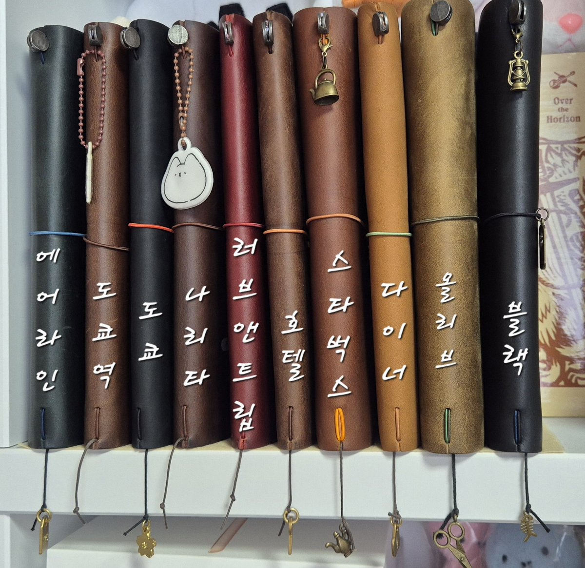 트노 오리 10권 달성.