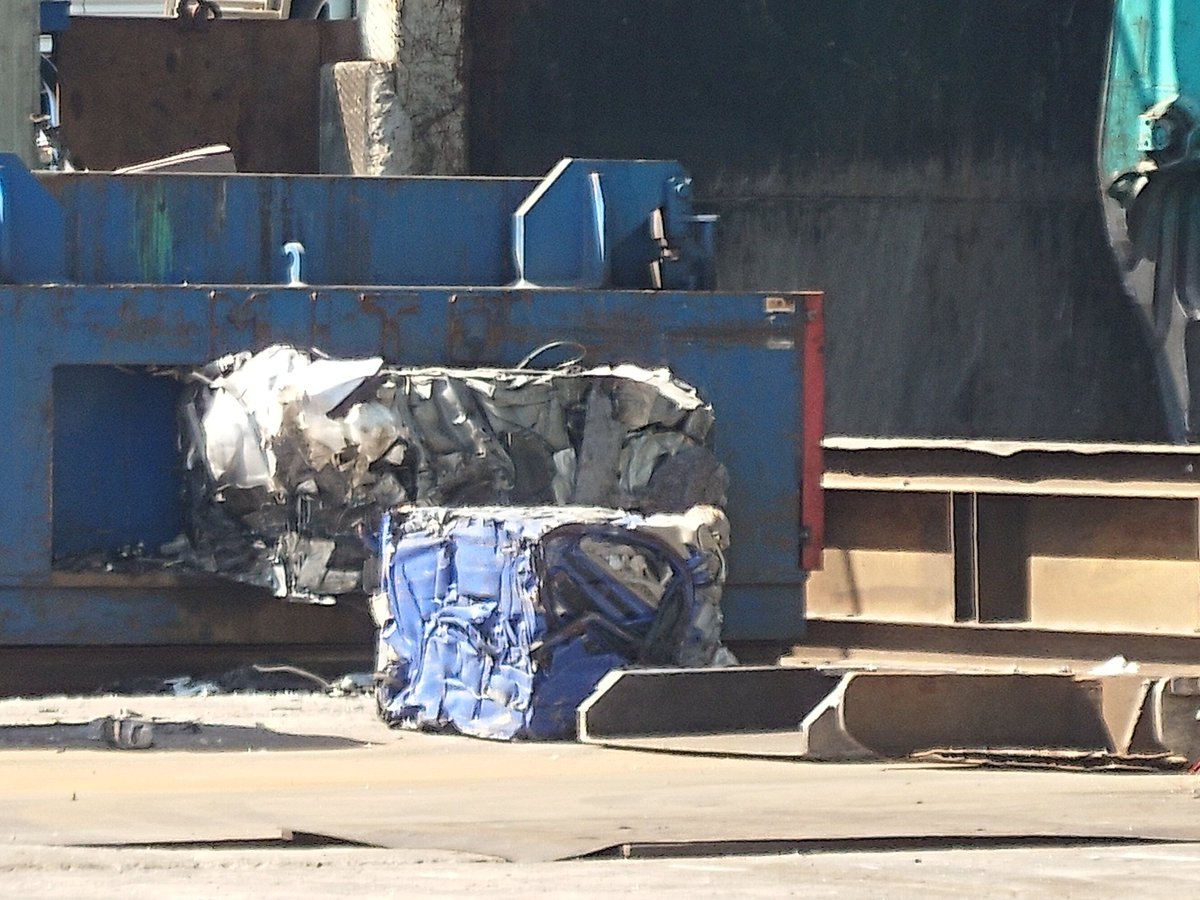 げんかいnamapo tweet media