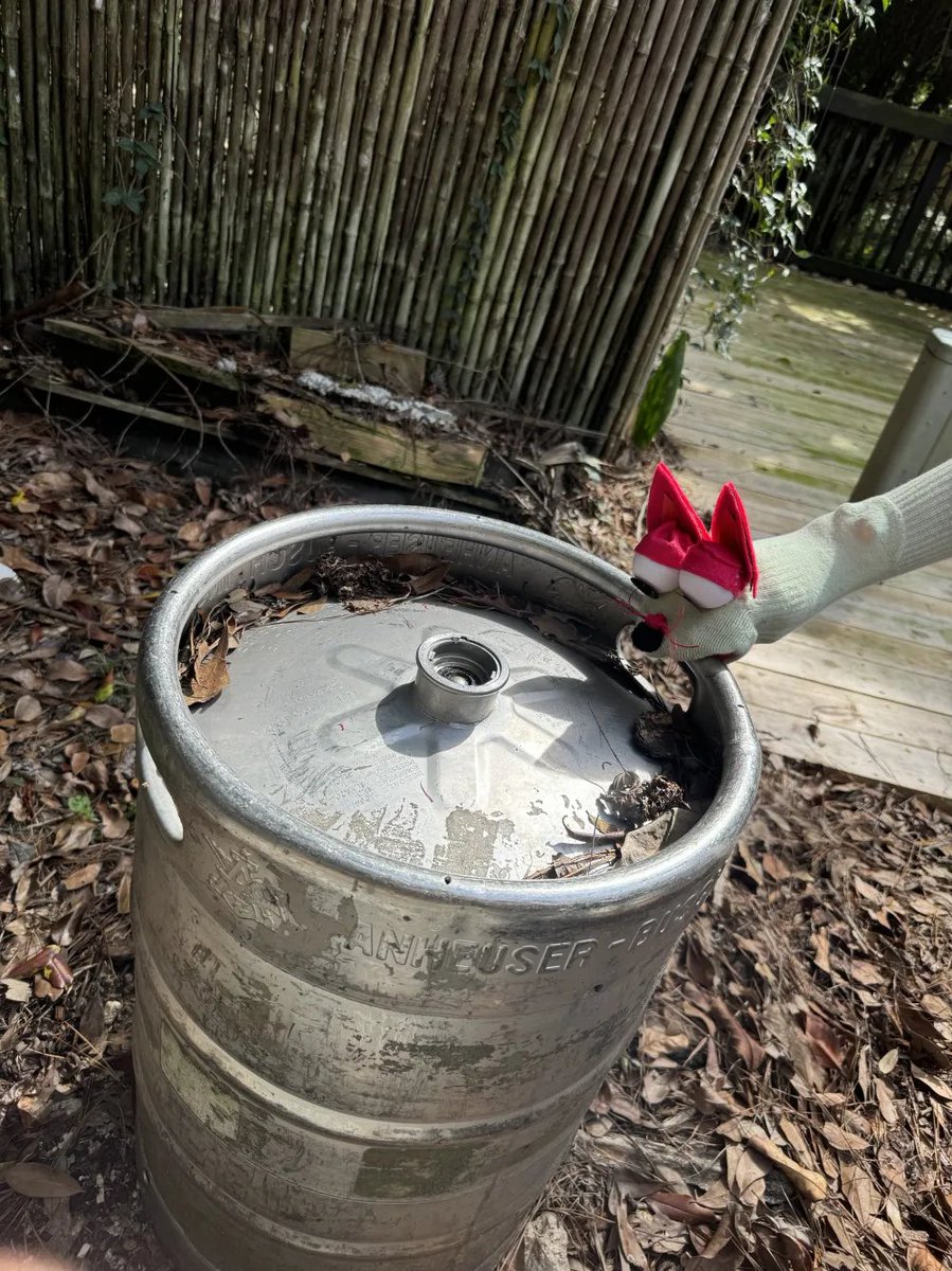 GET ME SOME OF THAT. IMMA NEED SOME OF THAT.