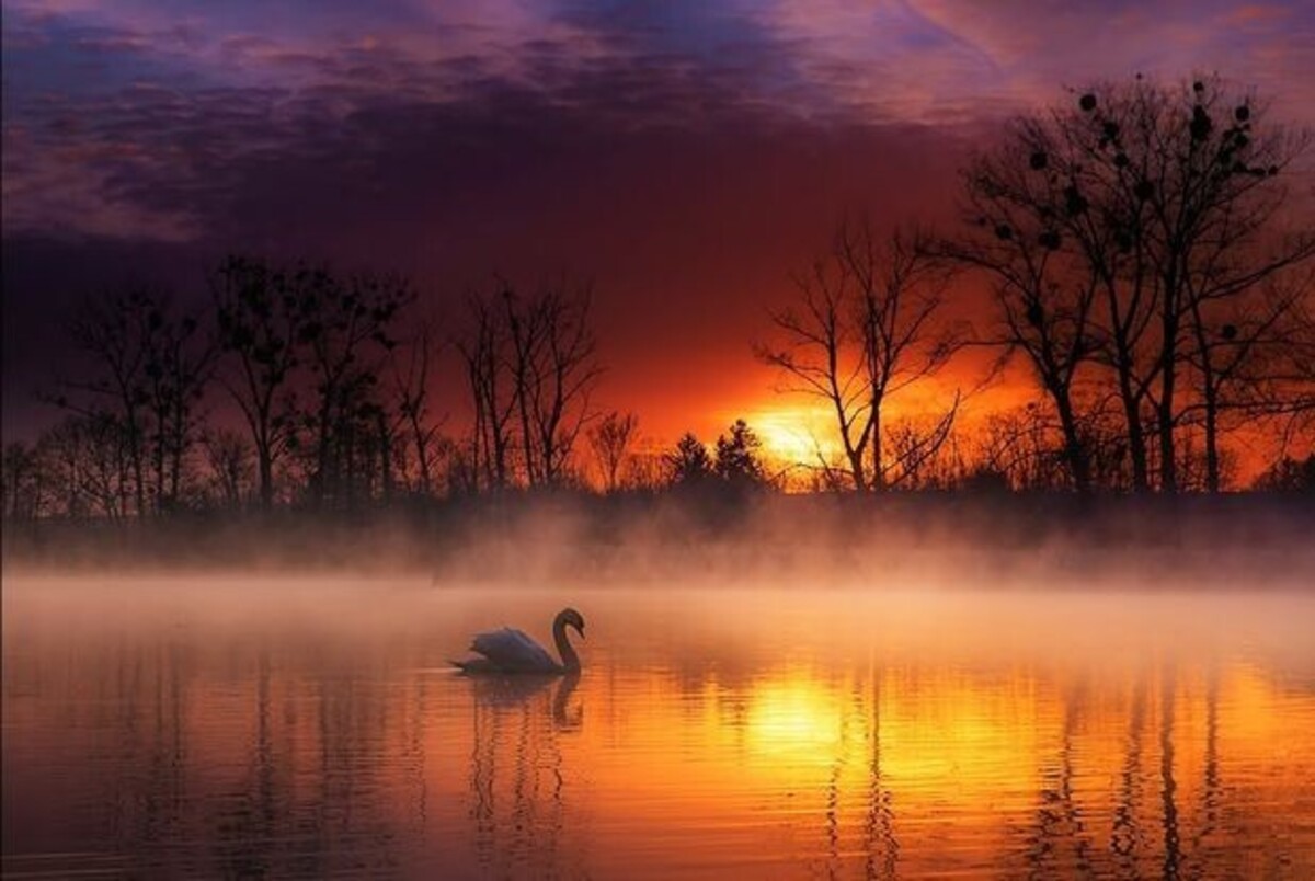 ‘Break away from maddening roar, comrades, and find the silent, soul-centered, sacred life galore that the living Spirit has in store.’
