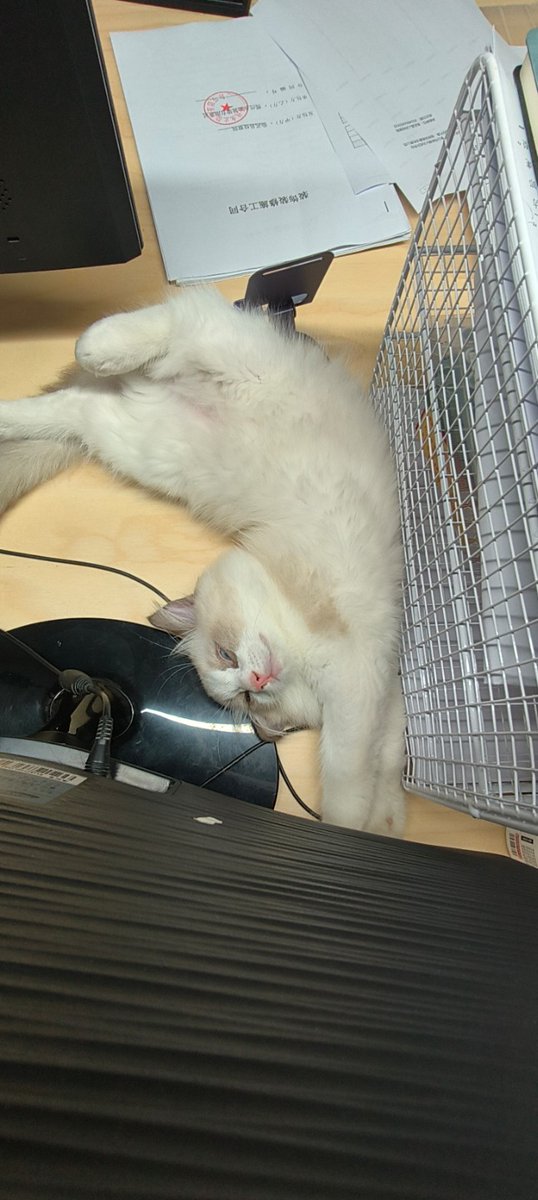 cxy_np55260's tweet image. 