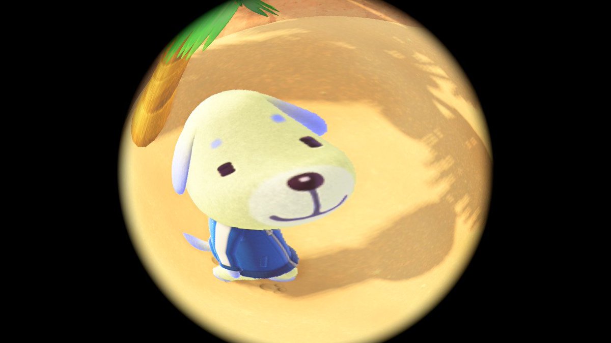 와글이ʕु•̫͡•ʔु ✧ tweet media