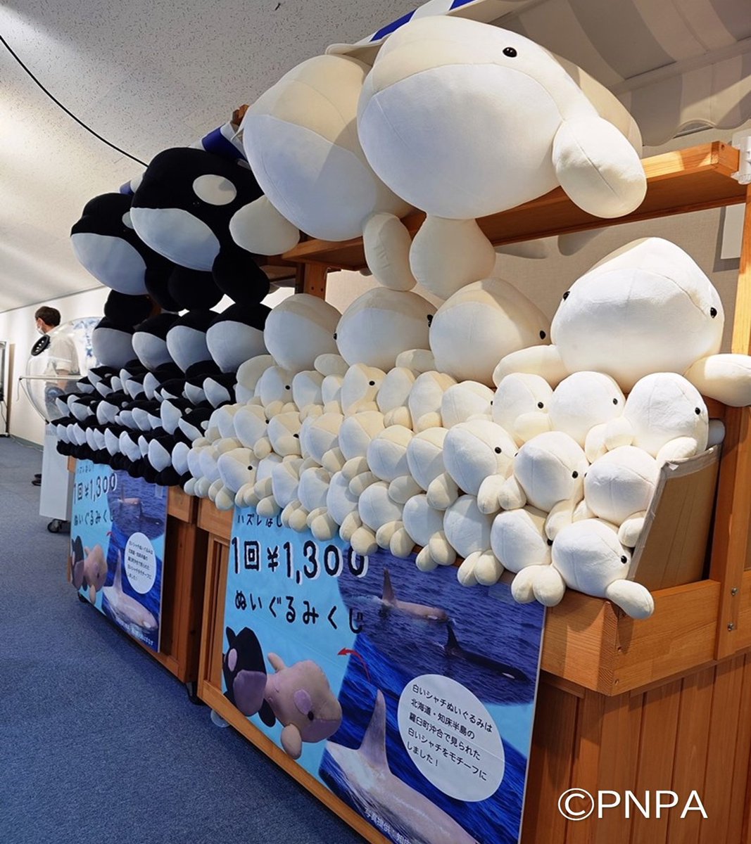 名古屋港水族館 on X