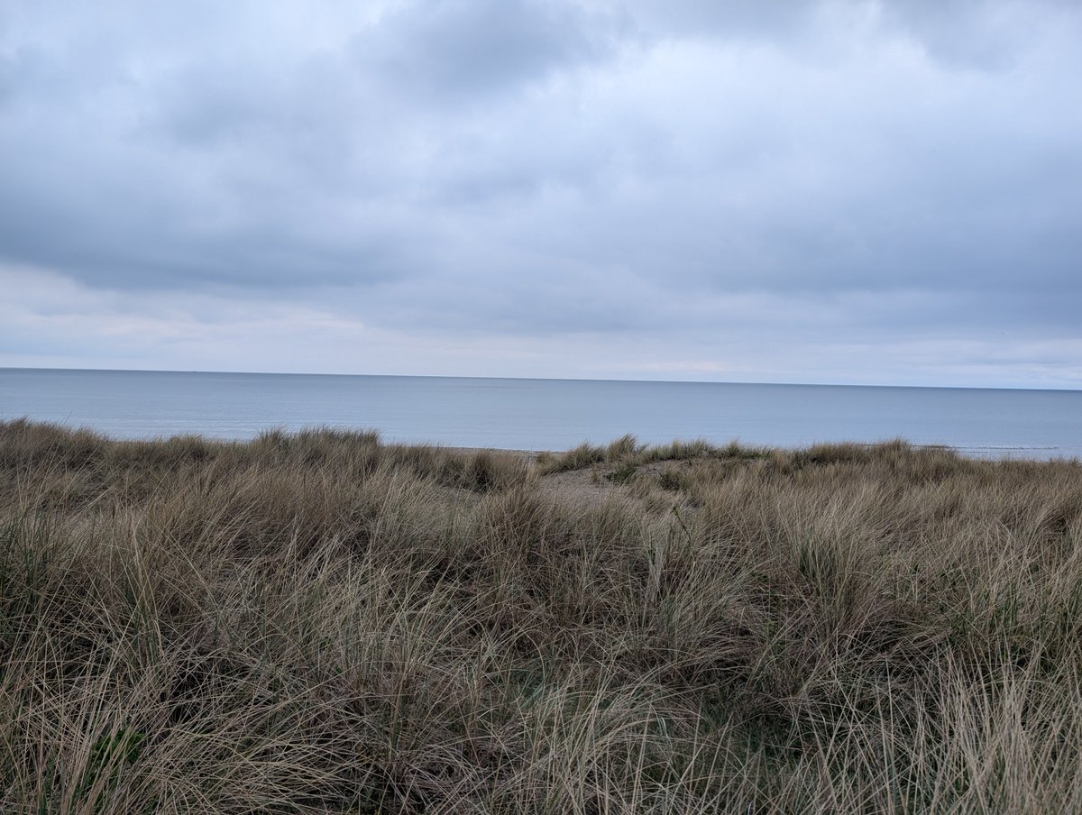 Morten Rosenvold Villadsen ⭐ tweet media