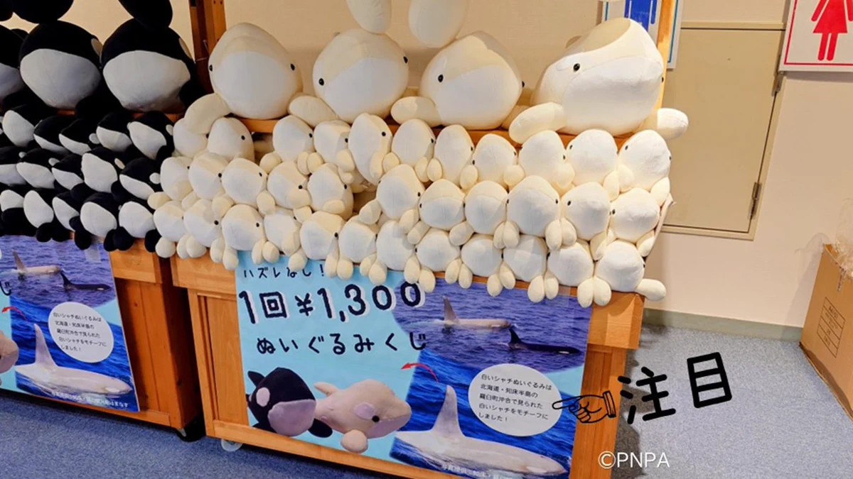 名古屋港水族館 on X: 