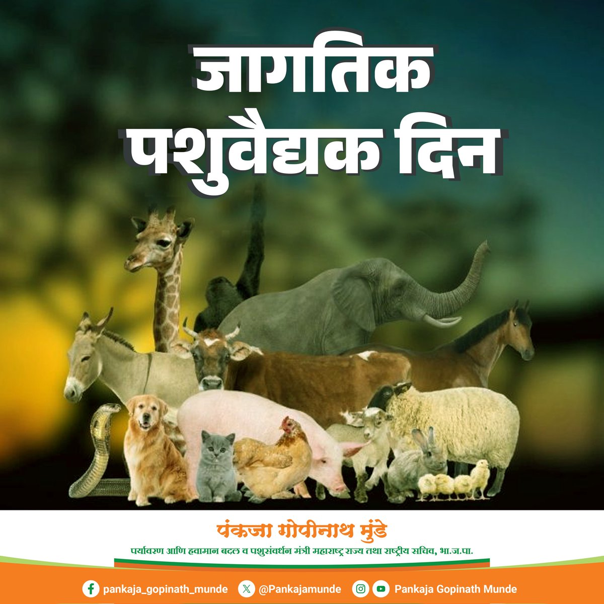Pankaja Gopinath Munde tweet media