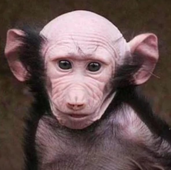 Me after building <a href="/zona_io/">Zona</a> for three years