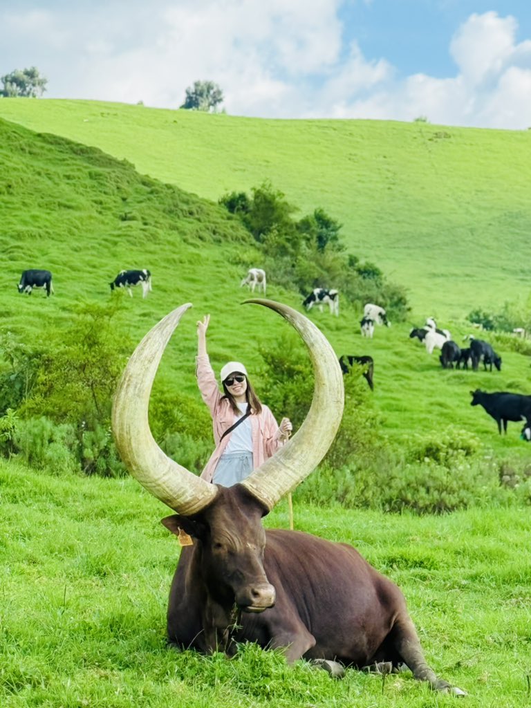 tken9914's tweet photo. Ankole the Land of beautiful creatures 😍 @CattleAnkole @AnkoleArchives https://t.co/VLbWIp4TqB