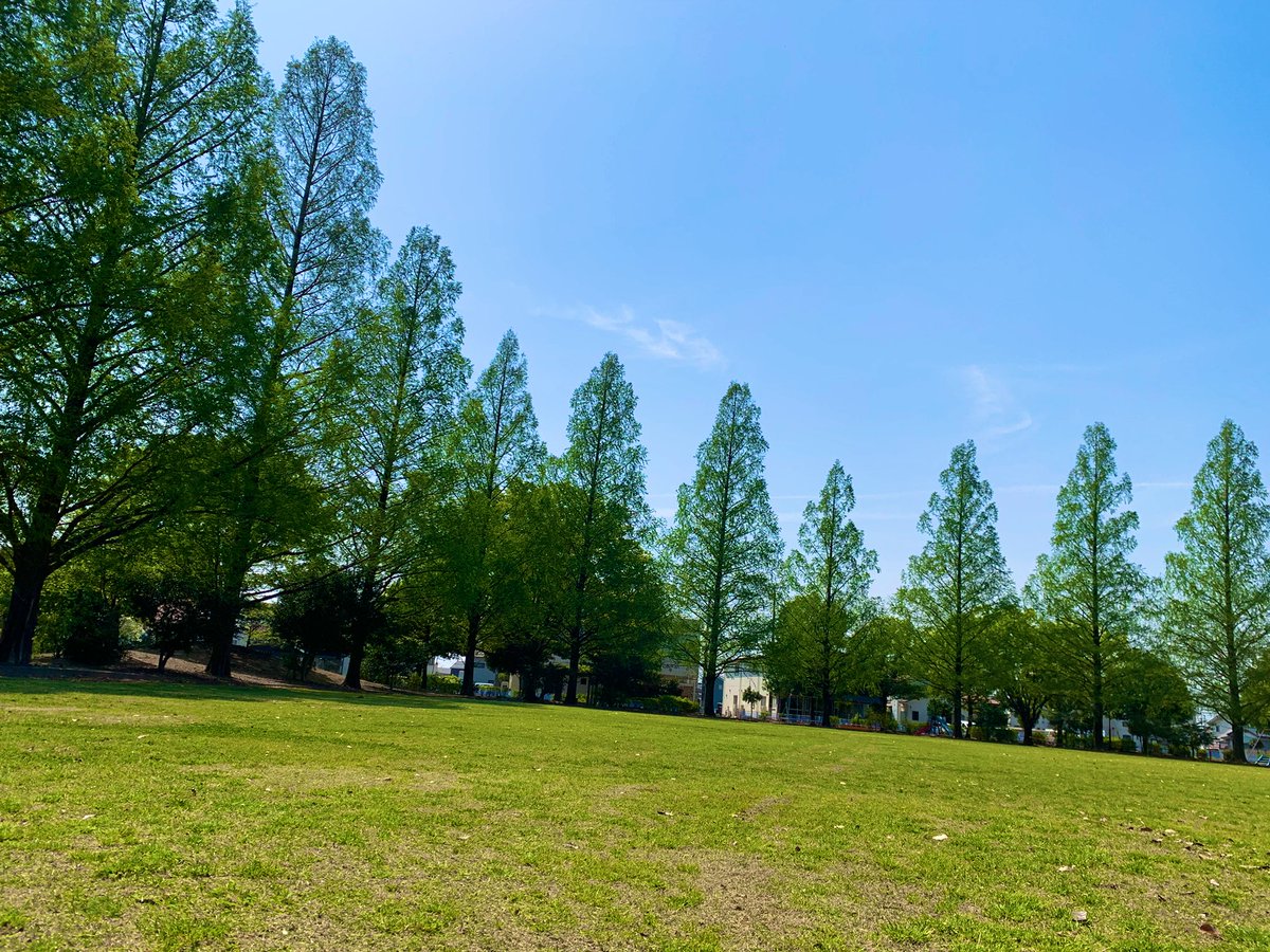 ［GW期間中の店休のお知らせ］
アマーティへのご来店いつもありがとうございます。
４月29日（火）５月6日（火）は休業とさせて頂きます。ご迷惑をおかけして申し訳ございませんが宜しくお願い致します。
西藤中央公園も爽やかな風とハナミズキの花々で鮮やかです。