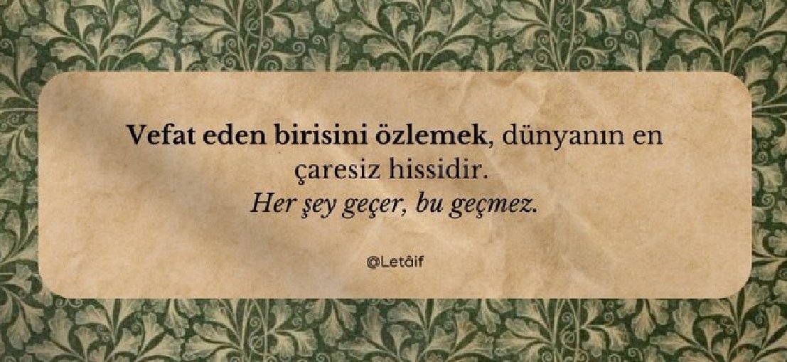ayaserenat's tweet photo. https://t.co/34RLW2IdmN