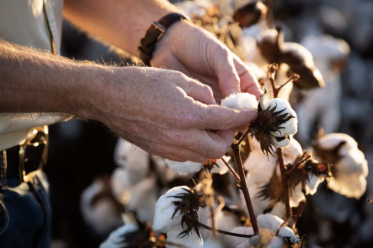 The SproutAg team works directly with you and multiple lenders who truly understand the needs of seasonal farming, giving you the best options and increasing your chances of securing the funding you need. 🌾

sproutag.com.au/seasonal-finan…