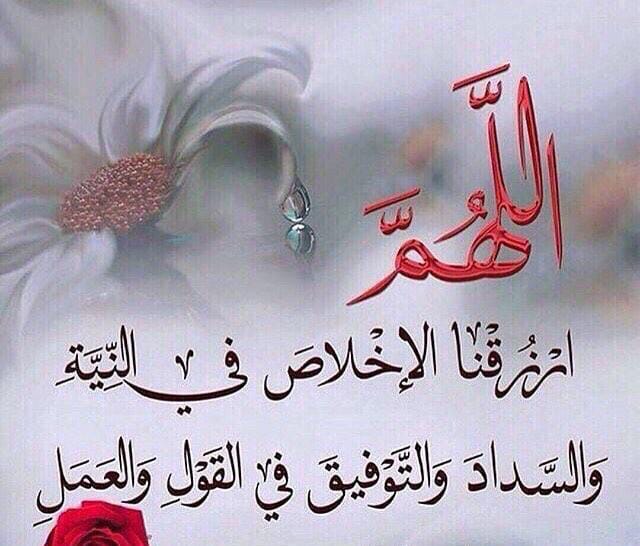 nadaAlanzy41's tweet photo. https://t.co/LJqRm4jh6o
