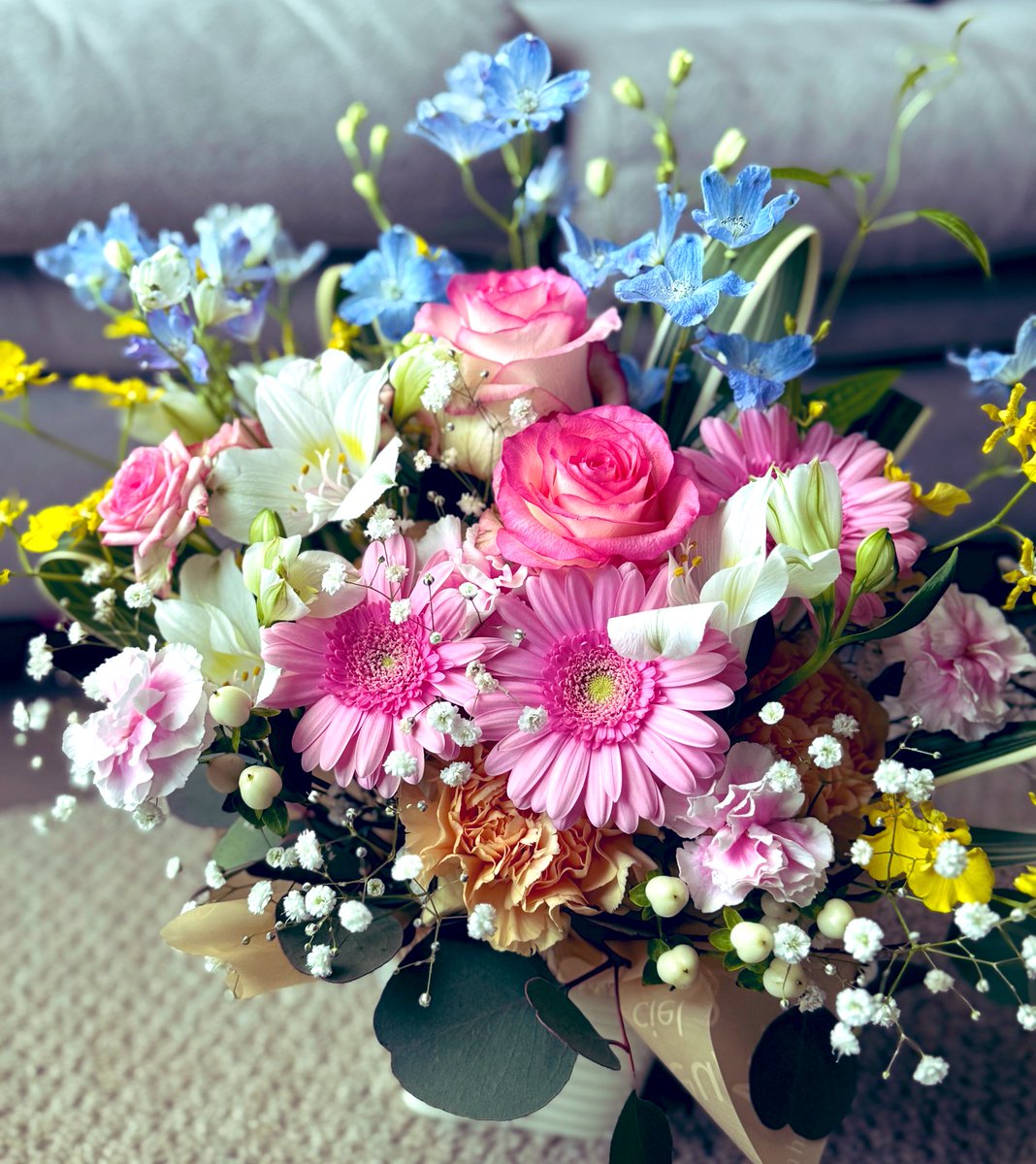 manamiii_design's tweet image. 私事ですが、昨日をもって
産休前の仕事納めしてきました！💐

周りの方に恵まれた職場で
寂しさいっぱいです…🥲

でも1日も休まず最後までやり切りました！

デザイン業は少しセーブして
既存のクライアント様のみとさせていただいています🙇🏻‍♀️

残り約１ヶ月、無理せず過ごそうと思います🥺