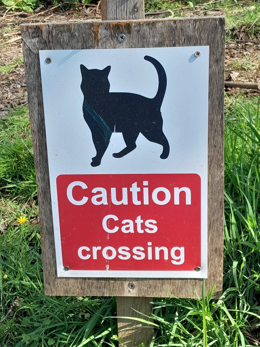 From my walk today. Nice to see the farmers🚜 looking after their cats🐈🐈‍⬛