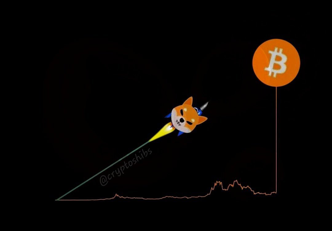 SHIBCrowd's tweet photo. Next Week #SHIB Will Be Massive🥵🔥 https://t.co/Ybh5z2PTYm