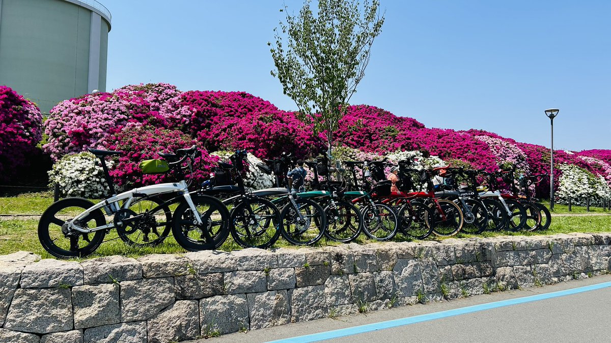 kazu_papan's tweet image. 第3回 verge lovers meeting終了しました✨

新規の方の参加もあり合計13台のvergeが集まり今回も無事VLM開催でき楽しい時間を過ごせました😆
ありがとうございました🙇

今回、埼玉・名古屋・京都の遠方から来て頂いた皆様ありがとうございました✨
今後とも宜しくお願いします🙇
#tern #verge