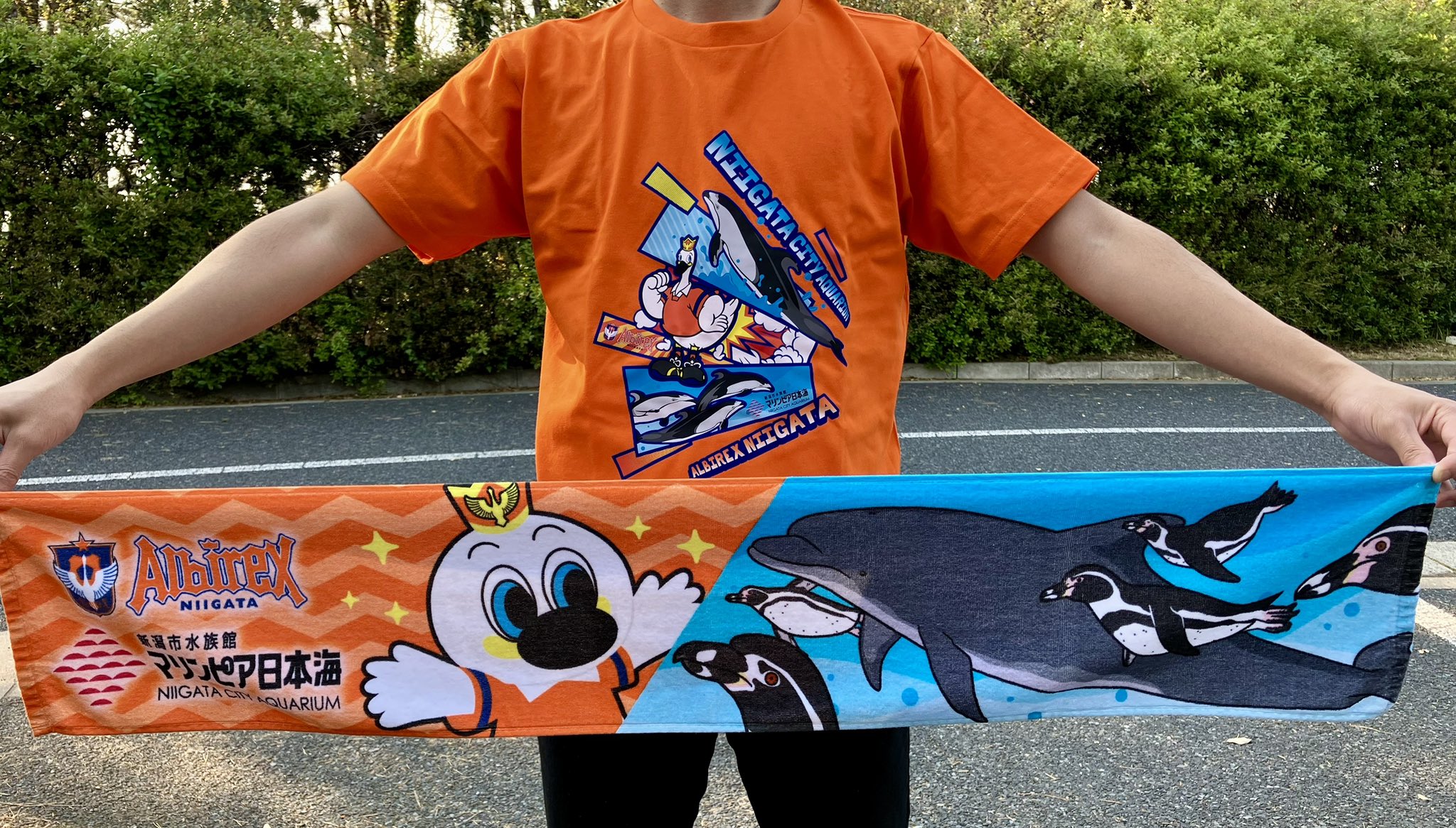 新潟市水族館ミュージアムショップマリンピアハート (@marinepiaheart) / X 新潟市水族館ミュージアムショップマリンピアハート (@marinepiaheart) / X