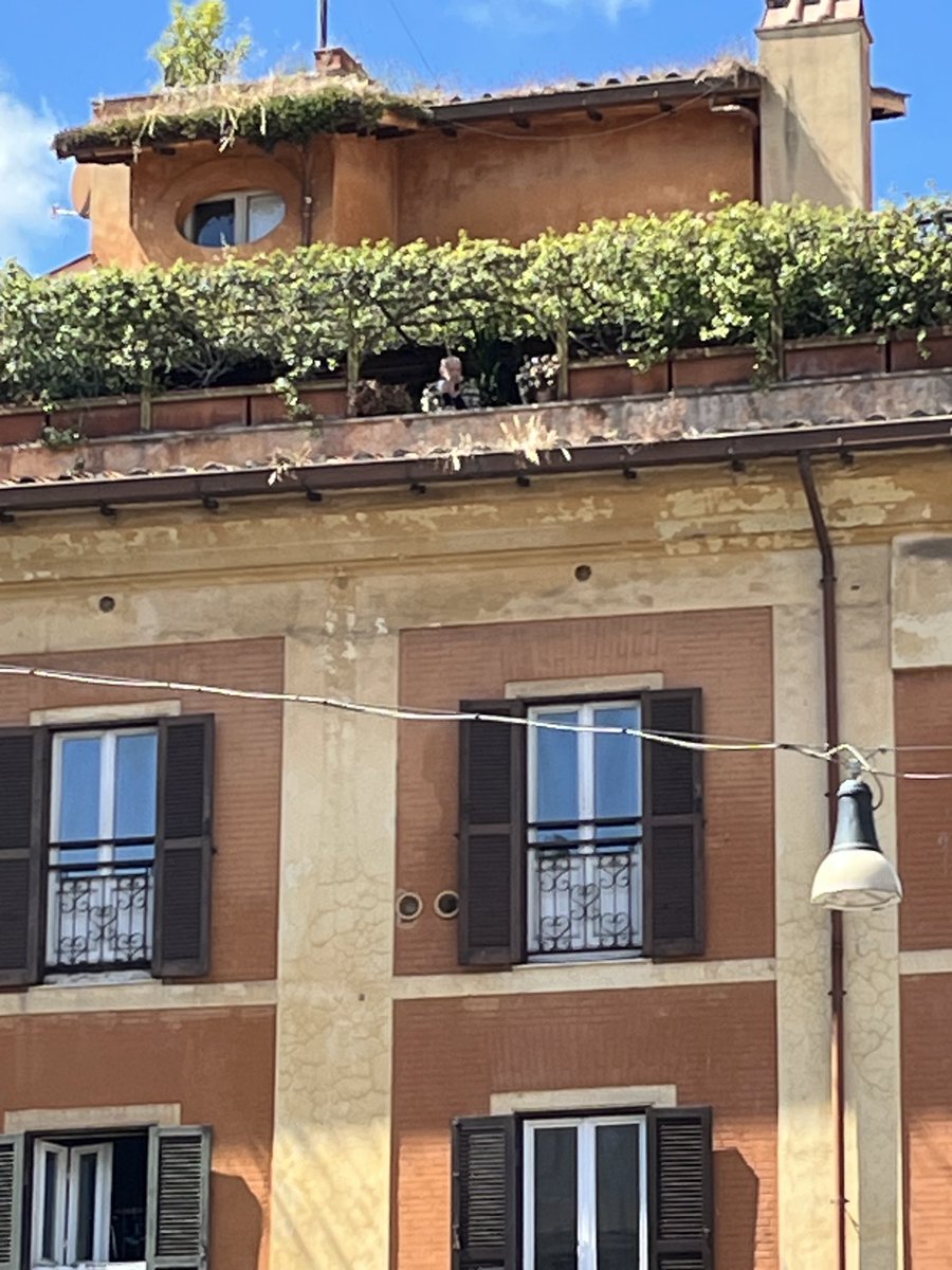 Lisa Holland (@lisaatsky) on Twitter photo Can you see the man beneath the bushes peering out from his balcony - a perfect vantage point to say goodbye to Pope Francis on route to his final resting place <a href="/baglivo_s/">Simone Baglivo</a> <a href="/nmsonline/">Nick Stylianou 👀</a> Can you see the man beneath the bushes peering out from his balcony - a perfect vantage point to say goodbye to Pope Francis on route to his final resting place <a href="/baglivo_s/">Simone Baglivo</a> <a href="/nmsonline/">Nick Stylianou 👀</a>