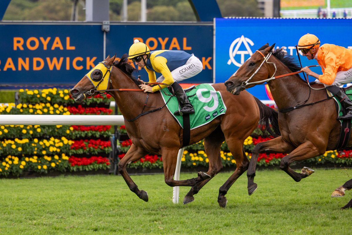 Clarke Bloodstock (@clarkebstock) on Twitter photo Yankee One brings up an important Saturday metropolitan victory with a perfect ride from Jason Collett.
The progressive filly continues to build a smart record for <a href="/BBakerRacing/">Bjorn Baker Racing</a>, <a href="/RidgmontFarm/">RidgmontFarm</a> and partners!
📸 <a href="/georgiayphoto/">Georgia Young</a> Yankee One brings up an important Saturday metropolitan victory with a perfect ride from Jason Collett.
The progressive filly continues to build a smart record for <a href="/BBakerRacing/">Bjorn Baker Racing</a>, <a href="/RidgmontFarm/">RidgmontFarm</a> and partners!
📸 <a href="/georgiayphoto/">Georgia Young</a>