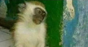 maindangers's tweet photo. No likkle boo. Nobody nuh like mi, mi just deya so a nyam and sleep https://t.co/wySGtD7nHG