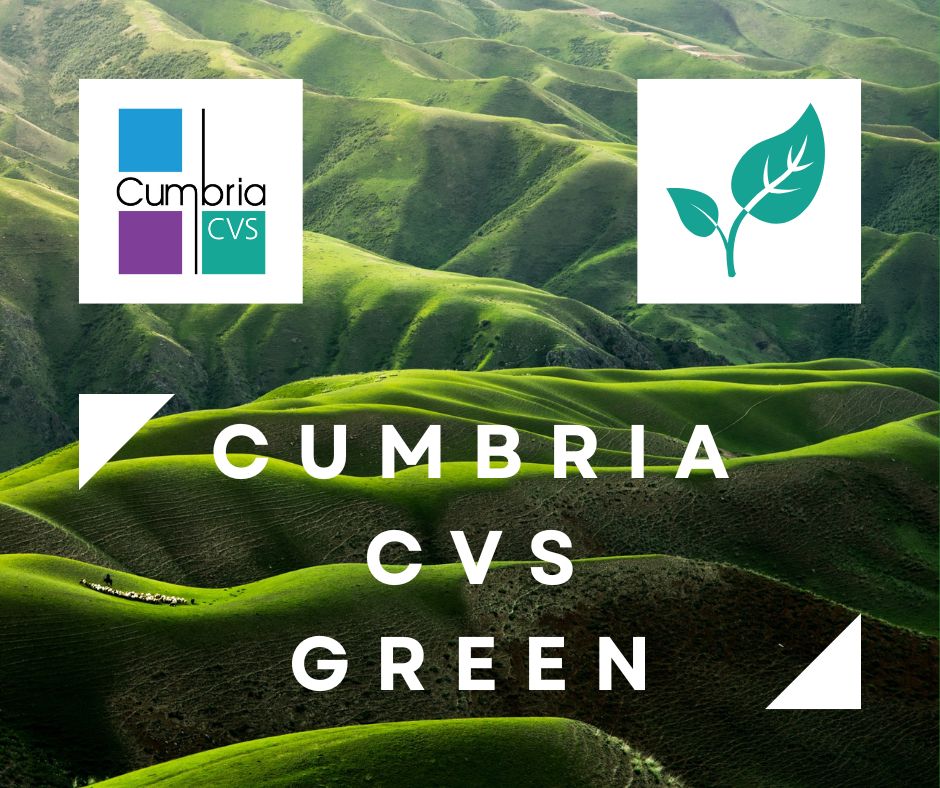 Cumbria CVS tweet media
