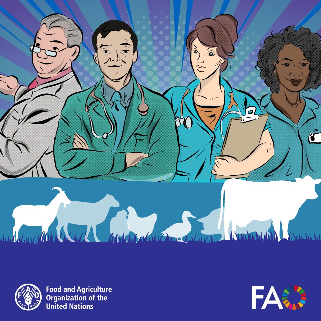 FAO in Uganda (@faouganda) on Twitter photo Animal health takes a team!
Tackling today’s challenges starts with collaboration.
Veterinarians, researchers & institutions work together to protect animals, people and the planet.
Learn more about <a href="/FAO/">Food and Agriculture Organization</a>’s work on #AnimalHealth
👉 fao.org/animal-health/…
#WorldVeterinaryDay Animal health takes a team!
Tackling today’s challenges starts with collaboration.
Veterinarians, researchers & institutions work together to protect animals, people and the planet.
Learn more about <a href="/FAO/">Food and Agriculture Organization</a>’s work on #AnimalHealth
👉 fao.org/animal-health/…
#WorldVeterinaryDay