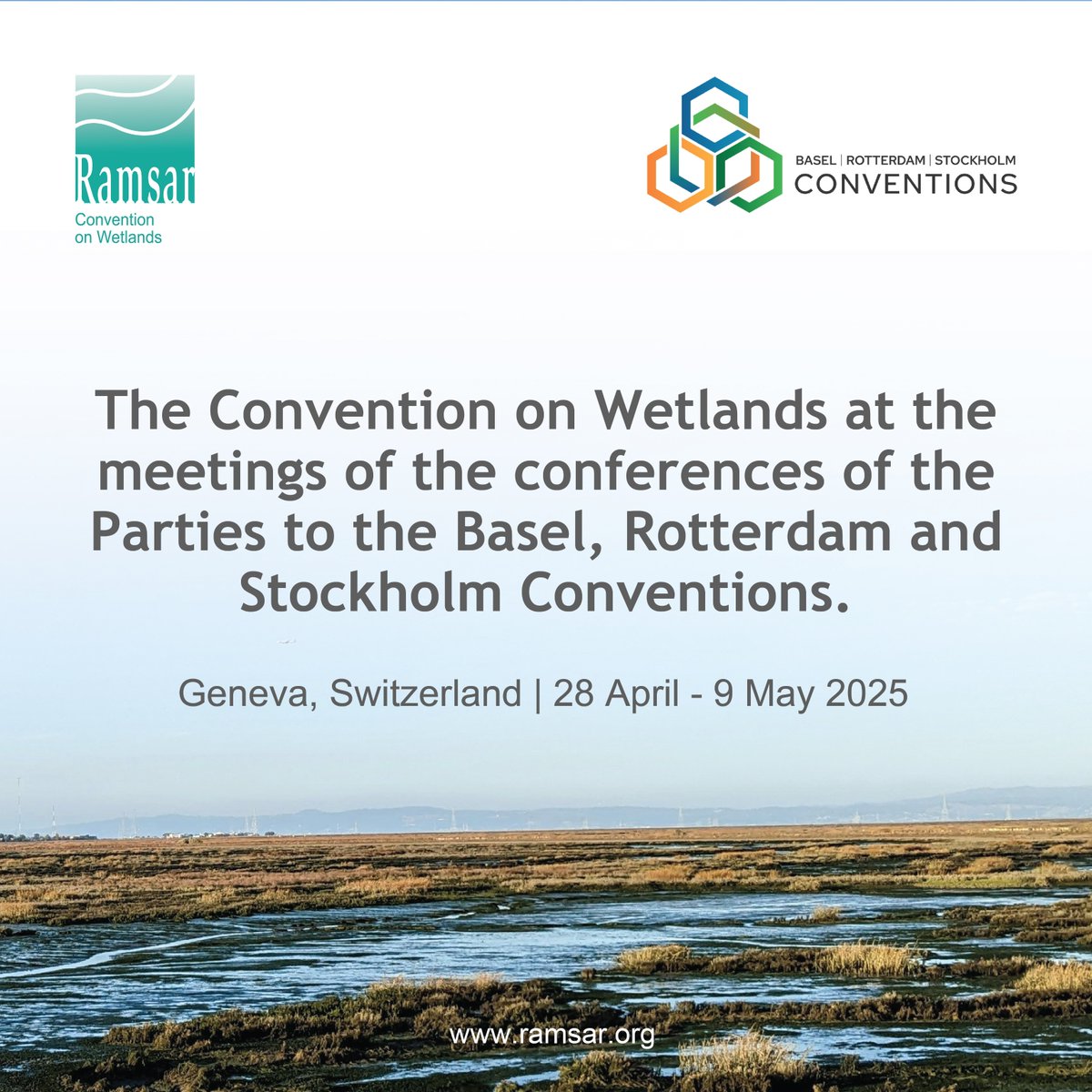 Next week, the Convention on Wetlands joins the #BRSCOPs2025 in Geneva.

🧪 Pollution and chemicals threaten wetlands.
🌊 Wetlands are filters, buffers and biodiversity hubs.

Collaboration across agreements is key to protecting them.

#WetlandConservation #WetlandsMatter