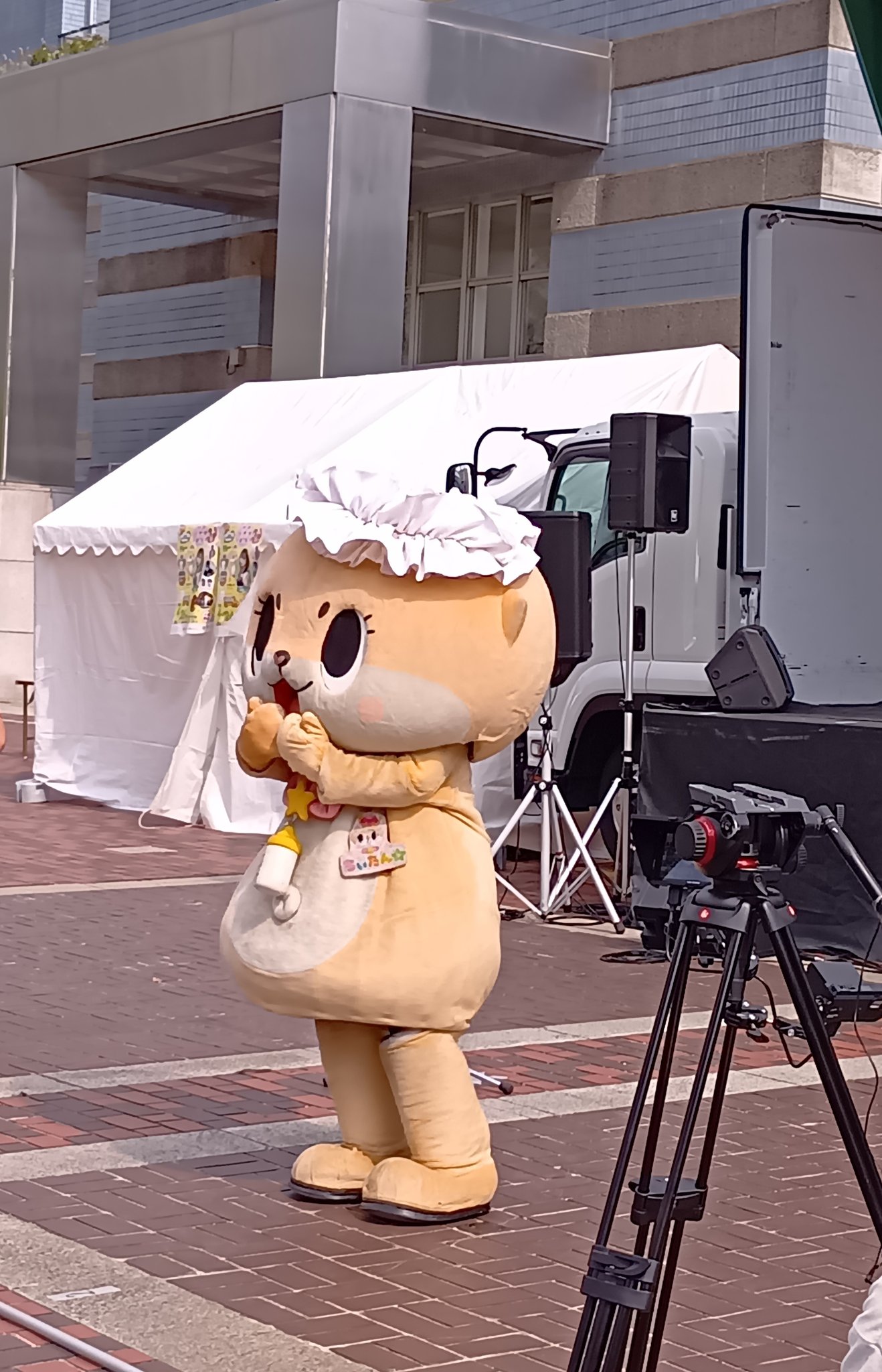 ちいたん☆ (@mickeyentry) / X ちいたん☆ (@mickeyentry) / X