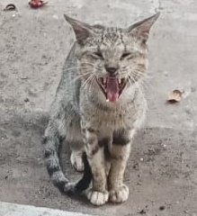 Starboy✨ tweet media