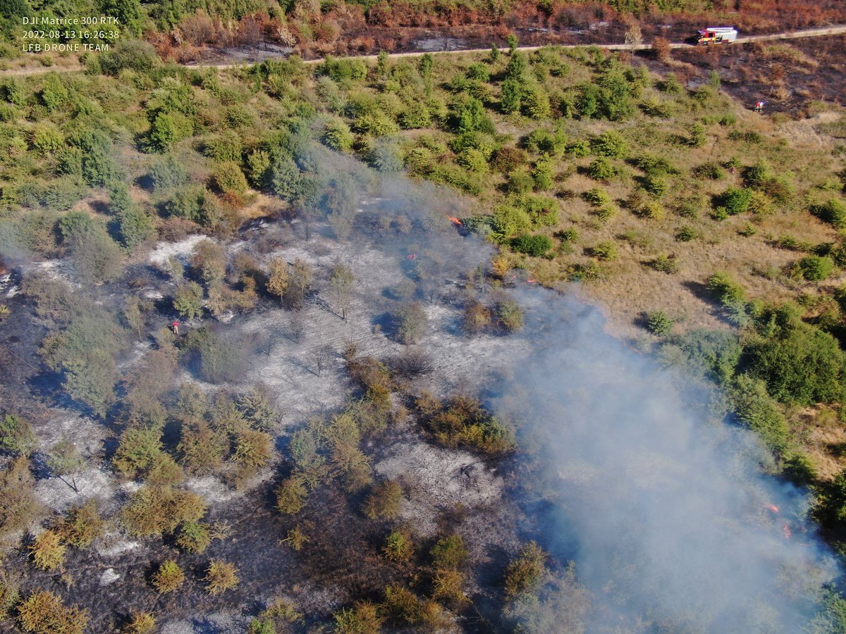 There is currently a heightened risk of grass fires and wildfires in London. The recent dry weather means fires can spread more easily.

If you're out enjoying the warm weather, follow our safety tips to reduce the chance of inadvertently starting a fire.  orlo.uk/WnQvU